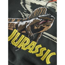 NAME IT Jurassic World Jal Sweatshirt Urban Chic